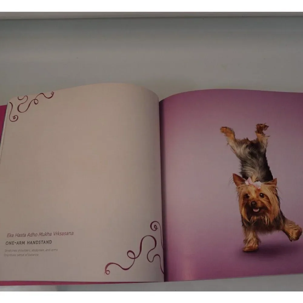 Yoga Dogs By Dan Borris 2011 Paper Back Dog Photography